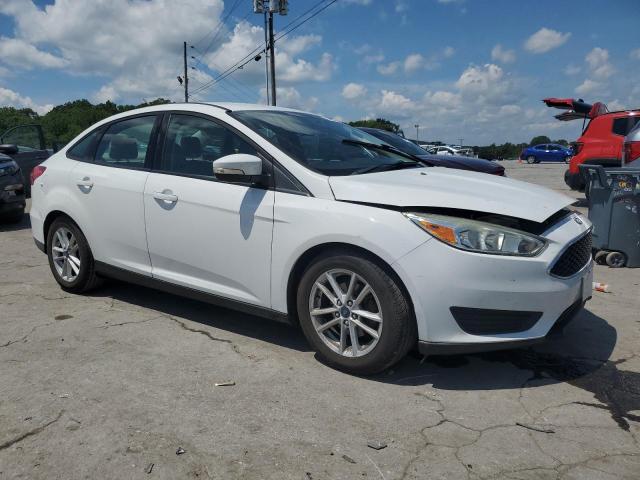 Photo 3 VIN: 1FADP3F2XFL343810 - FORD FOCUS SE 