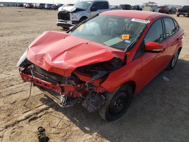 Photo 1 VIN: 1FADP3F2XFL368450 - FORD FOCUS SE 