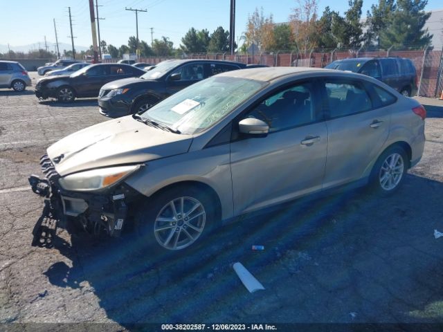 Photo 1 VIN: 1FADP3F2XFL376550 - FORD FOCUS 