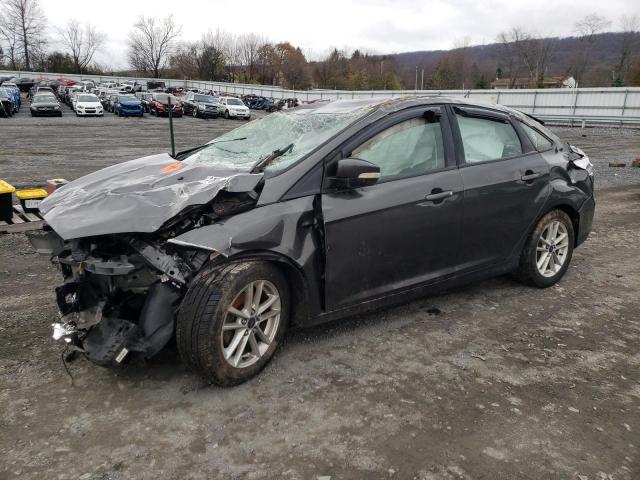 Photo 0 VIN: 1FADP3F2XGL226570 - FORD FOCUS SE 