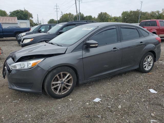 Photo 0 VIN: 1FADP3F2XGL314471 - FORD FOCUS SE 