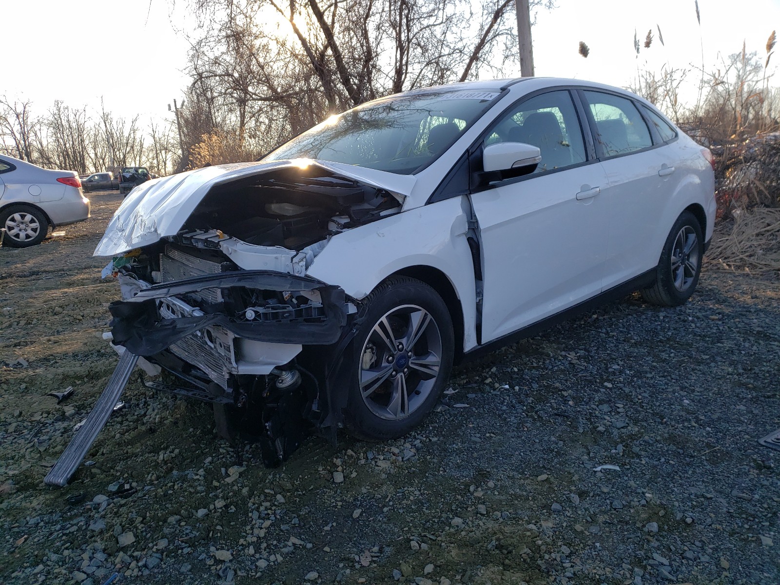 Photo 1 VIN: 1FADP3FE1HL312118 - FORD FOCUS 