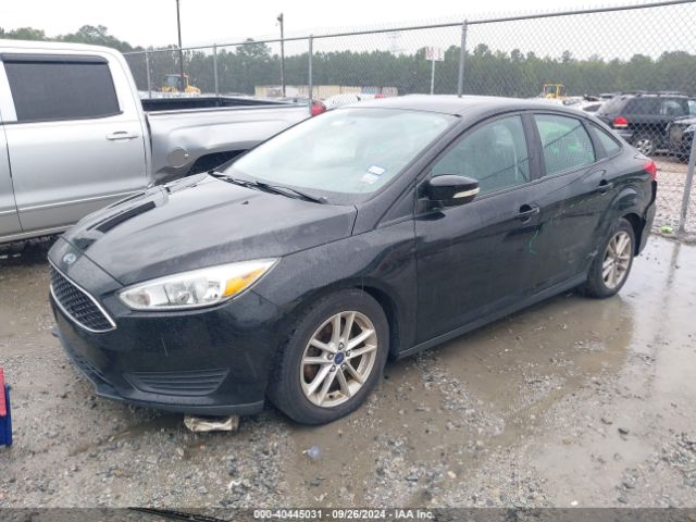 Photo 1 VIN: 1FADP3FE3GL248114 - FORD FOCUS 