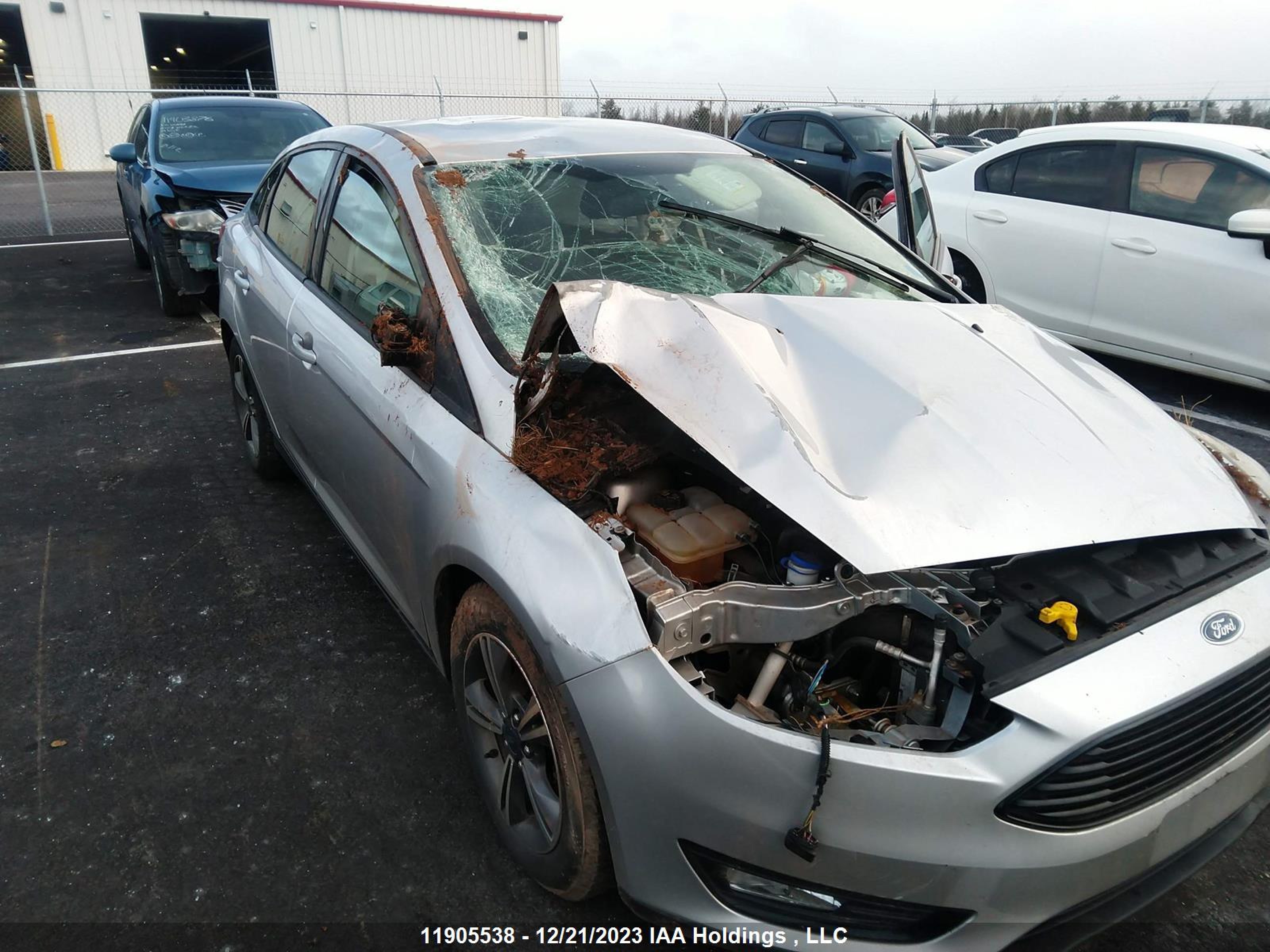 Photo 5 VIN: 1FADP3FE4HL321055 - FORD FOCUS 