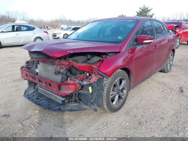 Photo 1 VIN: 1FADP3FE6HL243104 - FORD FOCUS 