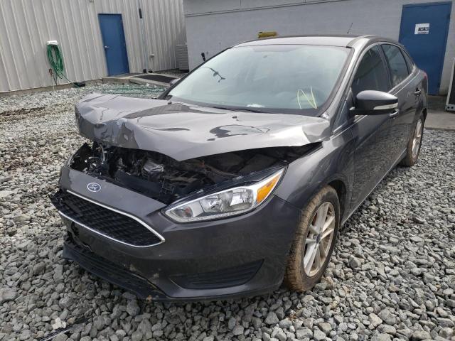 Photo 1 VIN: 1FADP3FE9GL355328 - FORD FOCUS SE 