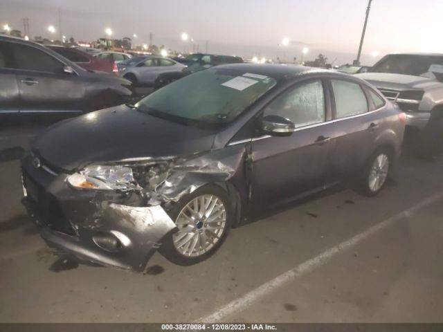 Photo 1 VIN: 1FADP3J21EL355687 - FORD FOCUS 