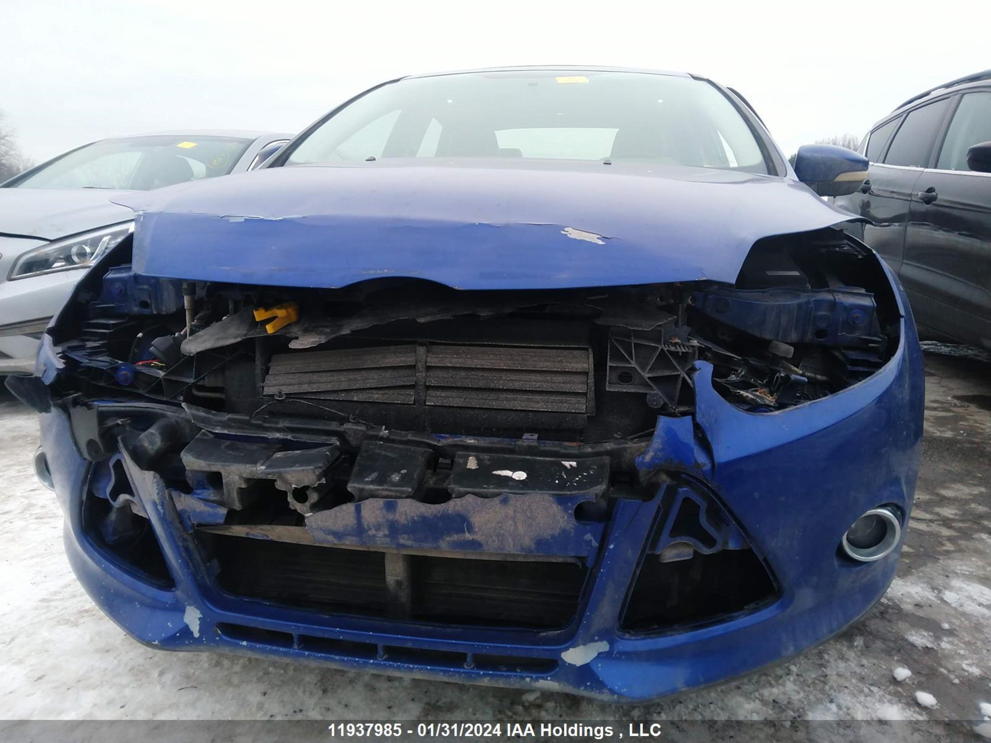 Photo 5 VIN: 1FADP3J24DL345850 - FORD FOCUS 