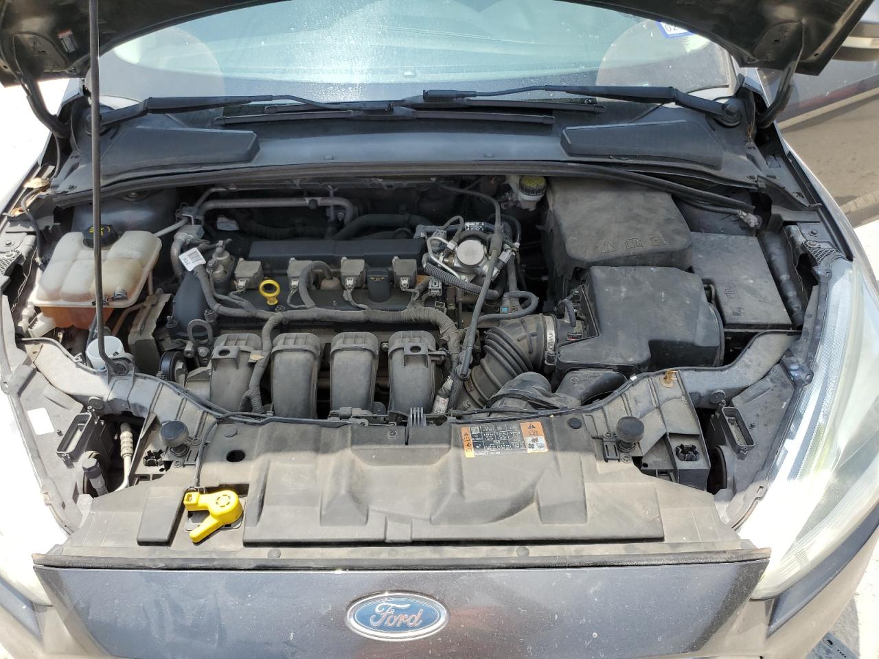 Photo 10 VIN: 1FADP3J25GL404599 - FORD FOCUS 