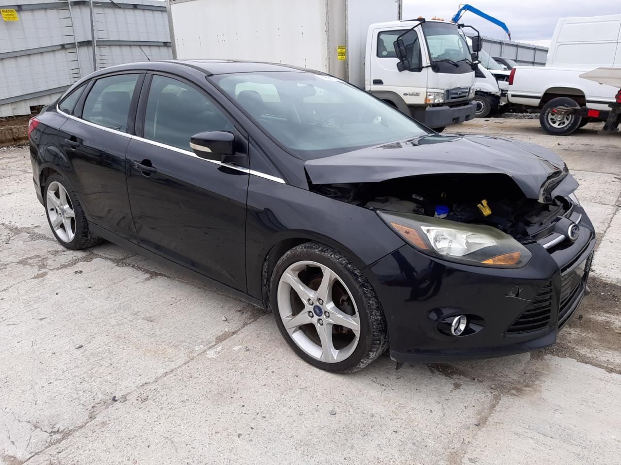 Photo 3 VIN: 1FADP3J26DL232644 - FORD FOCUS 