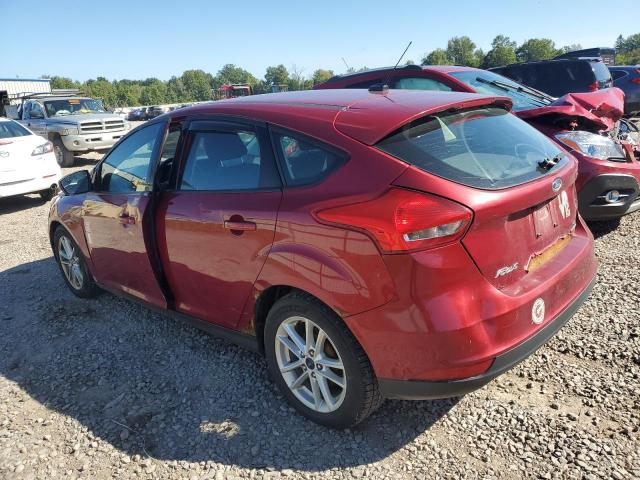 Photo 1 VIN: 1FADP3K20FL302981 - FORD FOCUS SE 