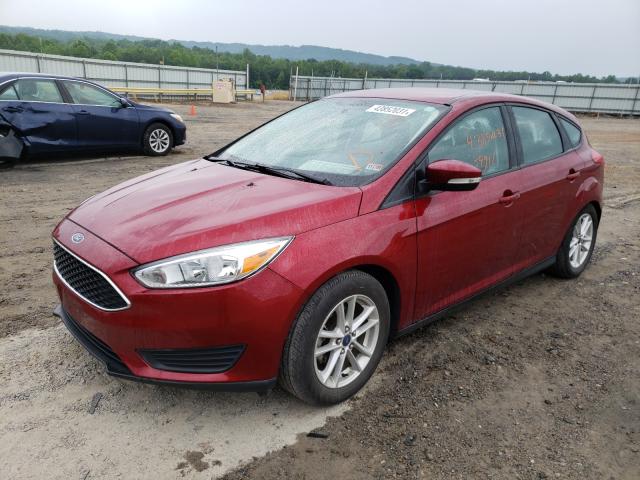 Photo 1 VIN: 1FADP3K20GL240886 - FORD FOCUS SE 