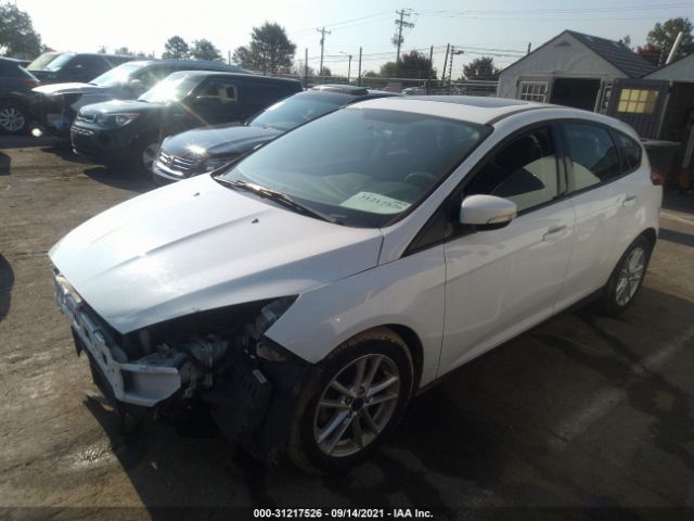 Photo 5 VIN: 1FADP3K20GL344696 - FORD FOCUS 