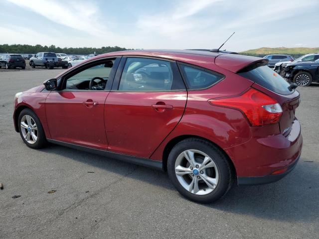 Photo 1 VIN: 1FADP3K21DL215782 - FORD FOCUS 