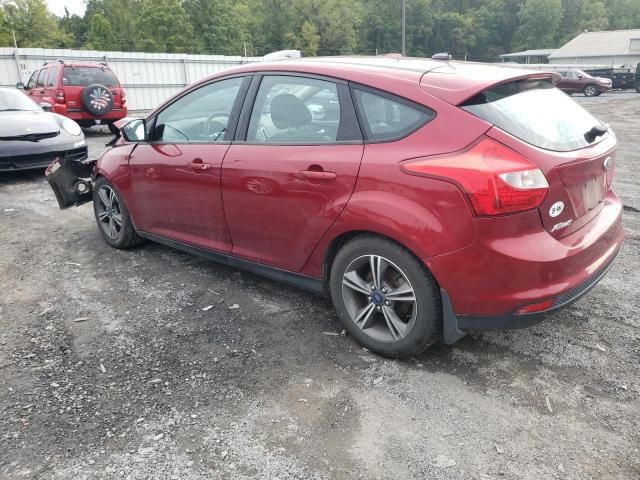 Photo 1 VIN: 1FADP3K21EL141524 - FORD FOCUS 