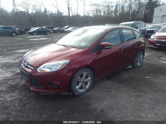 Photo 1 VIN: 1FADP3K21EL446182 - FORD FOCUS 