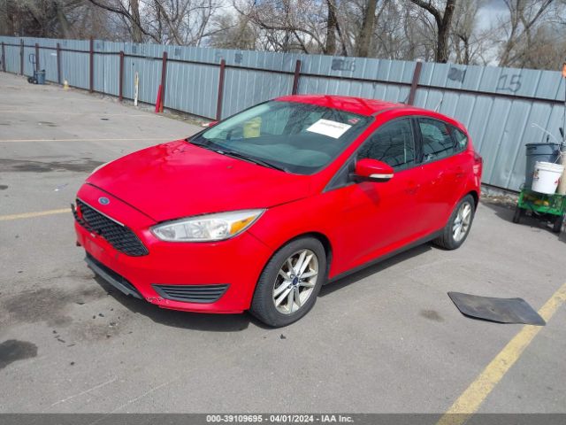 Photo 1 VIN: 1FADP3K21GL255638 - FORD FOCUS 