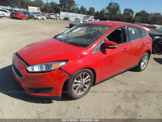 Photo 1 VIN: 1FADP3K21GL392143 - FORD FOCUS 