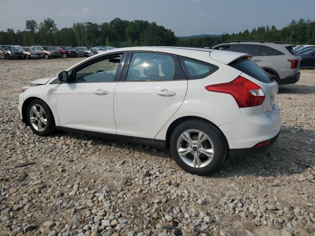 Photo 1 VIN: 1FADP3K22EL366731 - FORD FOCUS SE 