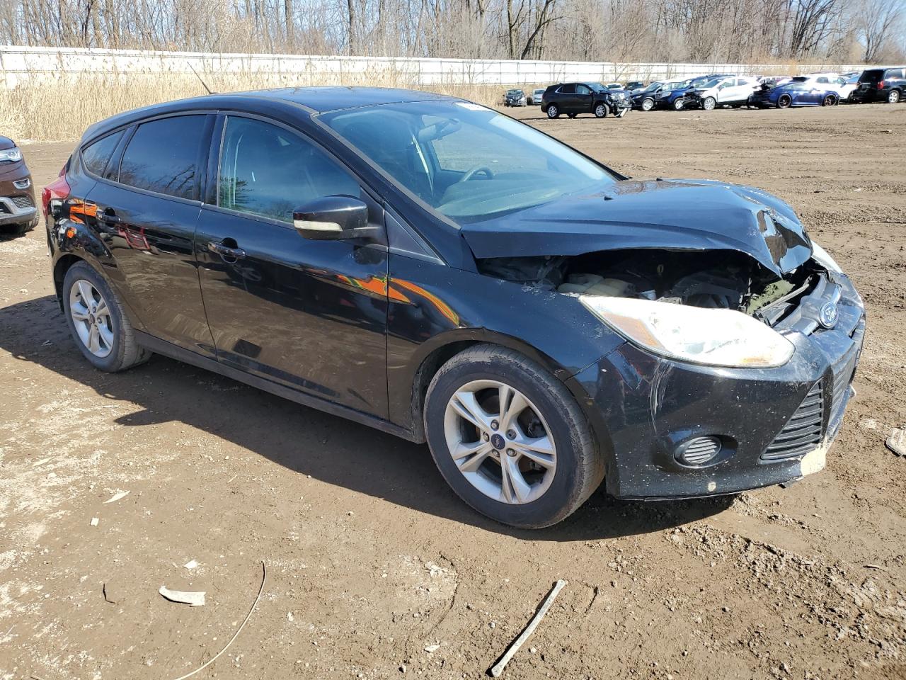 Photo 3 VIN: 1FADP3K22EL461581 - FORD FOCUS 