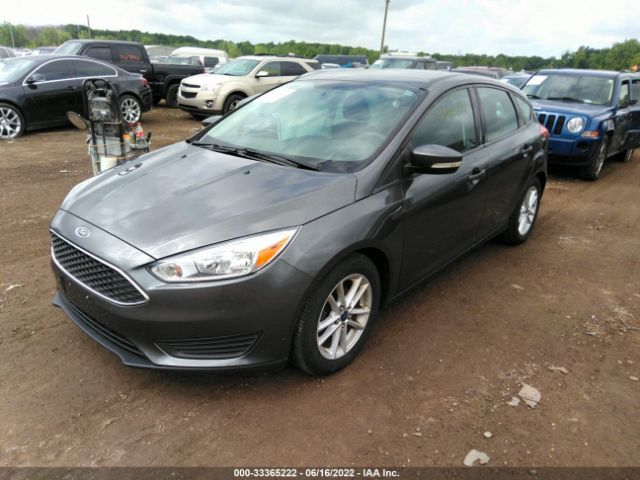 Photo 1 VIN: 1FADP3K22FL316266 - FORD FOCUS 