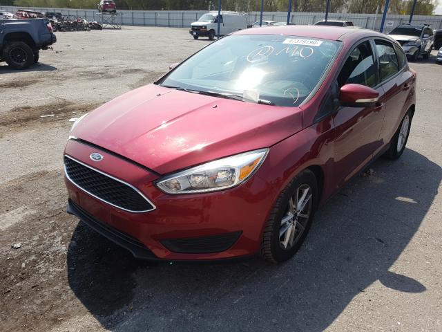 Photo 1 VIN: 1FADP3K22GL324031 - FORD FOCUS SE 