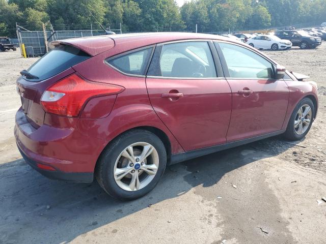 Photo 2 VIN: 1FADP3K23DL110810 - FORD FOCUS SE 