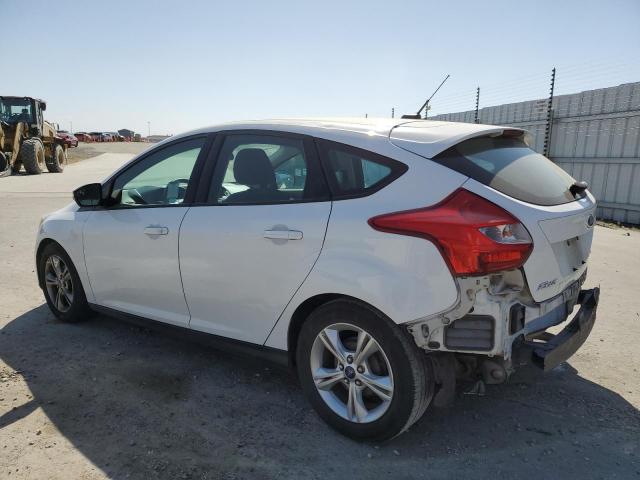 Photo 1 VIN: 1FADP3K23EL363787 - FORD FOCUS 