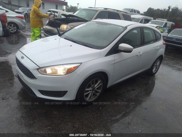 Photo 1 VIN: 1FADP3K23FL253310 - FORD FOCUS 