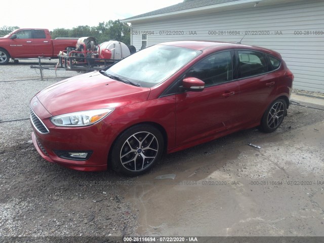 Photo 1 VIN: 1FADP3K23FL353603 - FORD FOCUS 