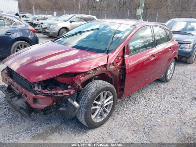 Photo 1 VIN: 1FADP3K23FL353830 - FORD FOCUS 