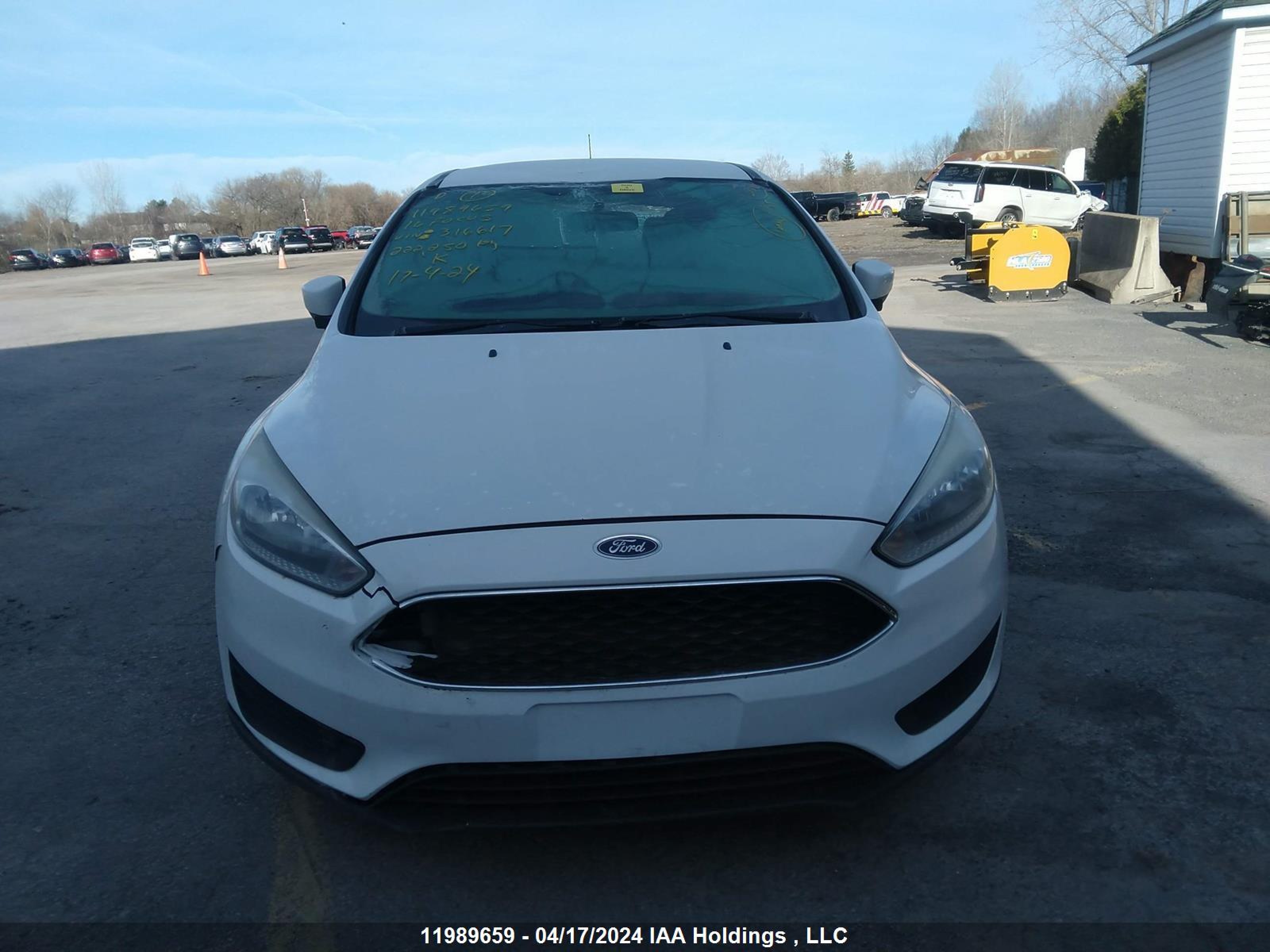 Photo 11 VIN: 1FADP3K23GL316617 - FORD FOCUS 