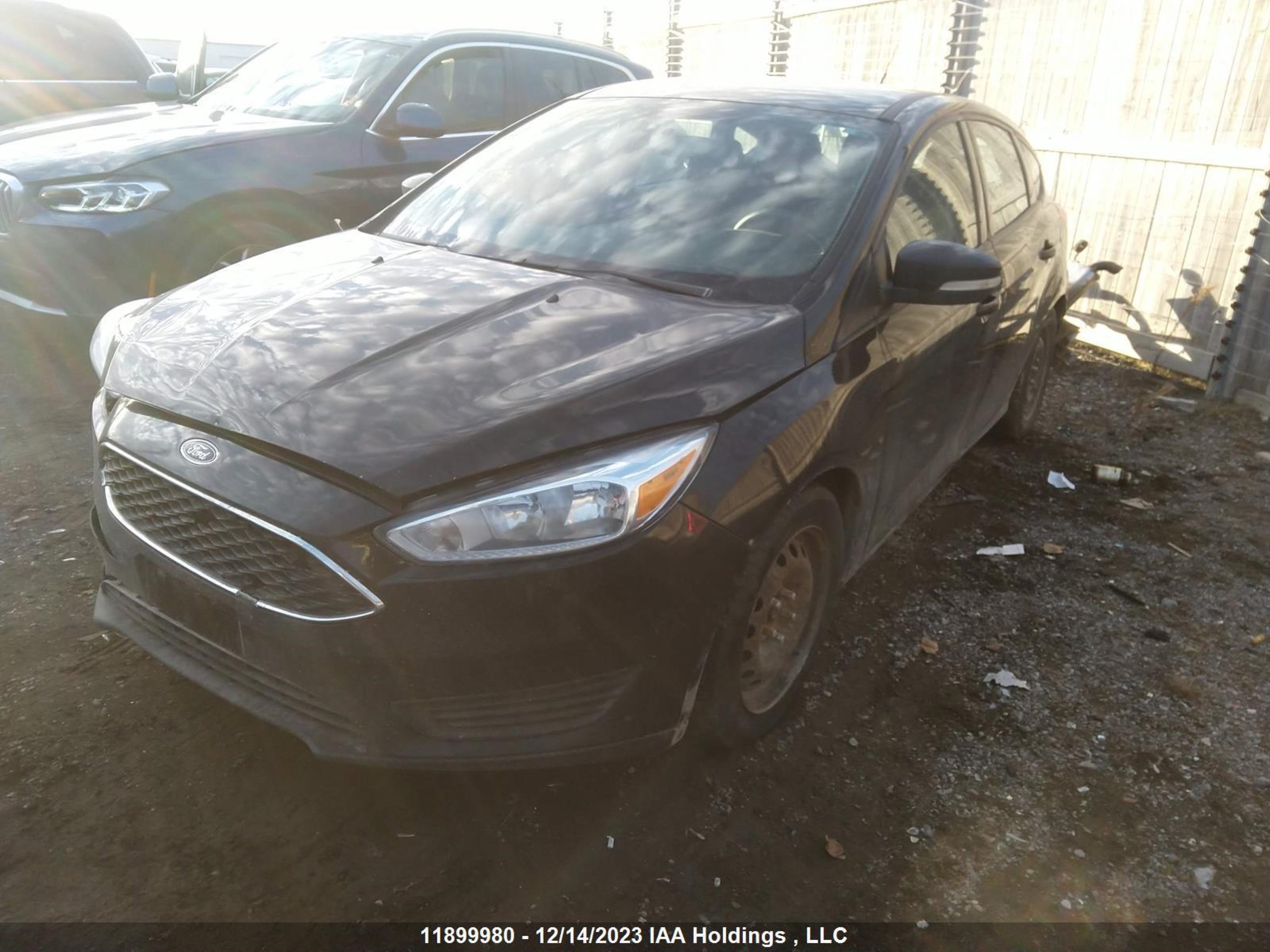 Photo 1 VIN: 1FADP3K23GL316777 - FORD FOCUS 