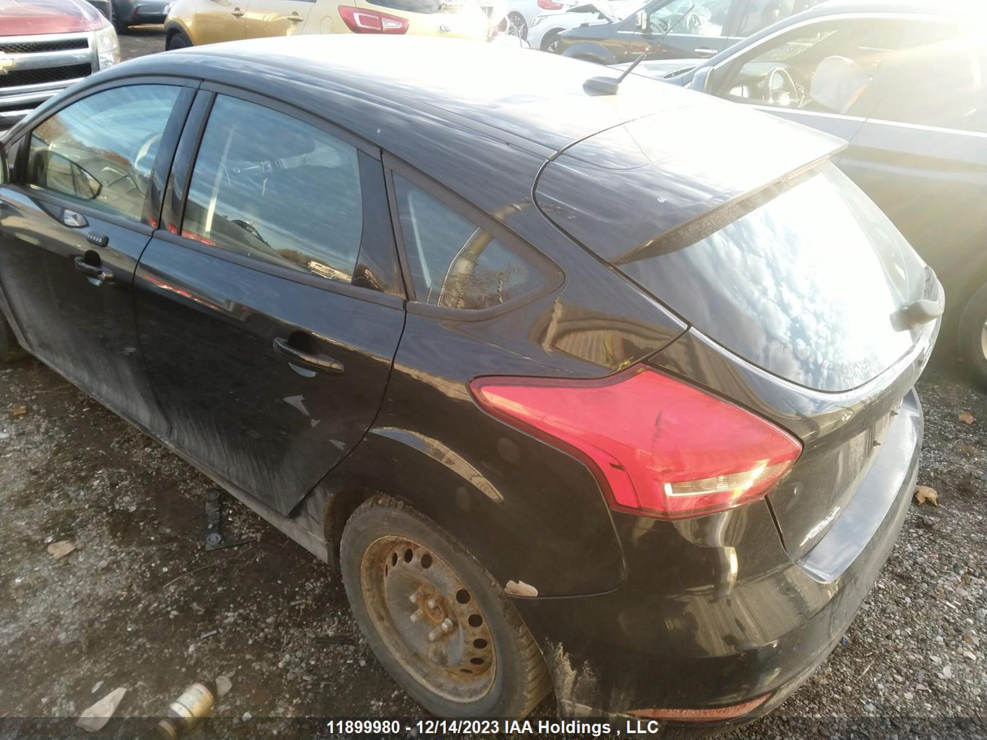 Photo 2 VIN: 1FADP3K23GL316777 - FORD FOCUS 