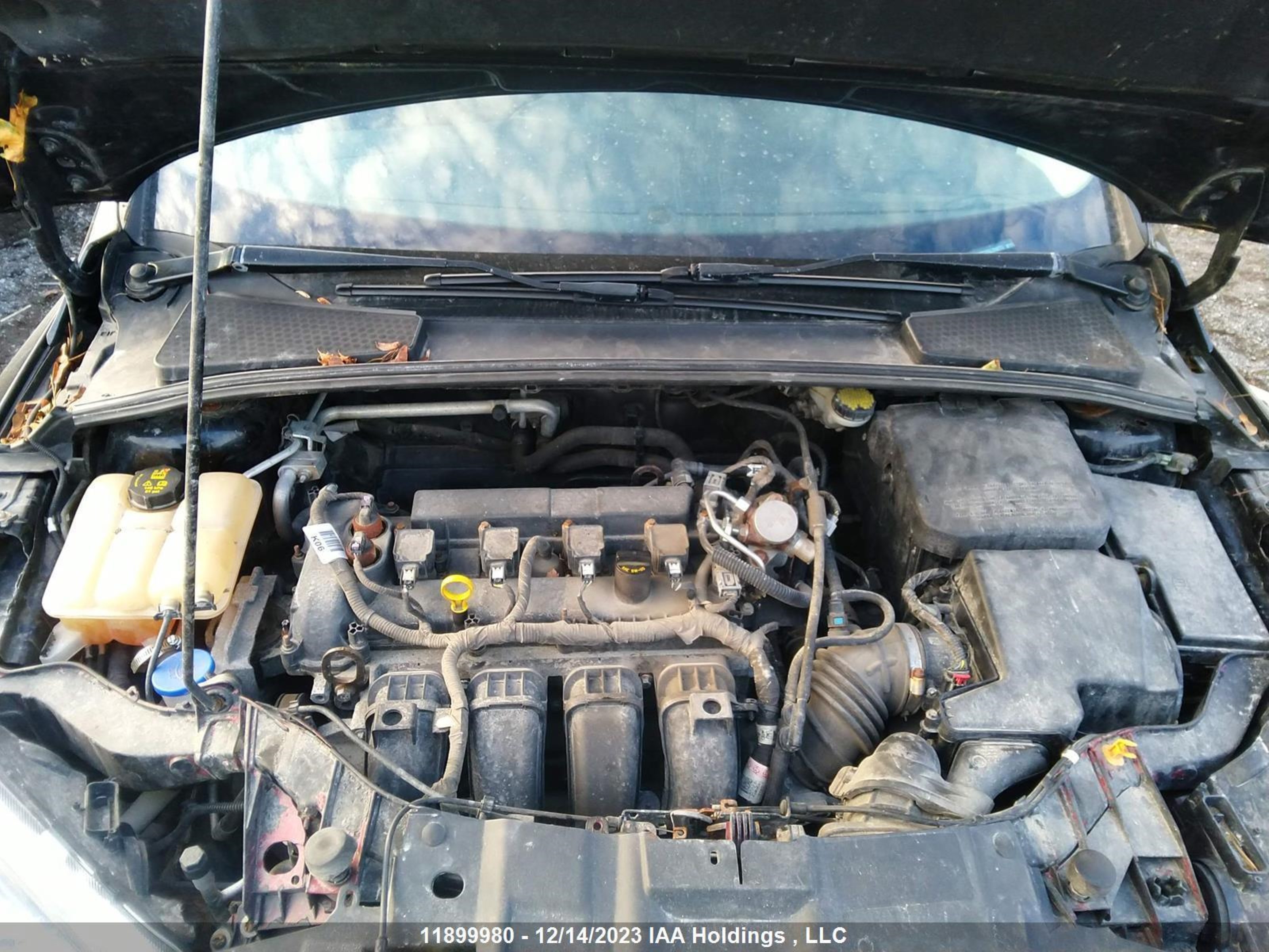 Photo 9 VIN: 1FADP3K23GL316777 - FORD FOCUS 