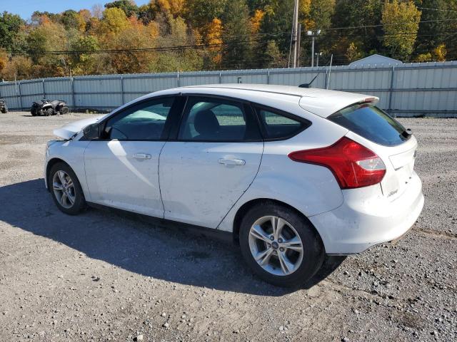 Photo 1 VIN: 1FADP3K24DL137076 - FORD FOCUS 