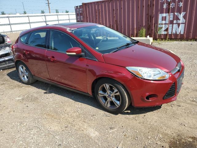 Photo 3 VIN: 1FADP3K24DL157439 - FORD FOCUS 