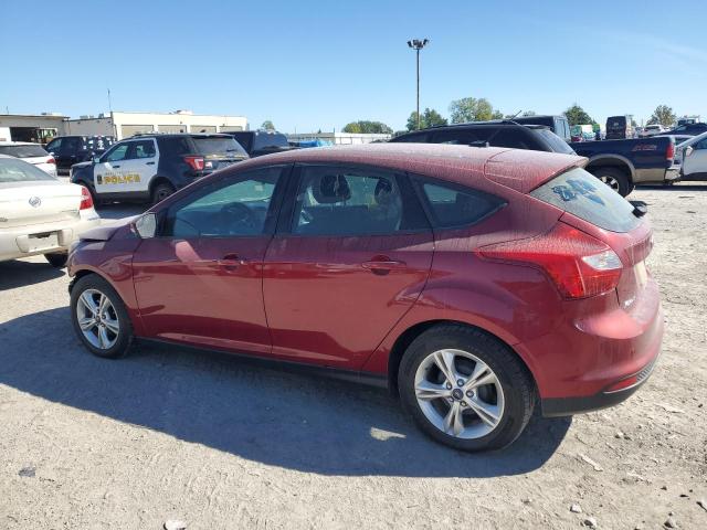 Photo 1 VIN: 1FADP3K24DL231653 - FORD FOCUS SE 