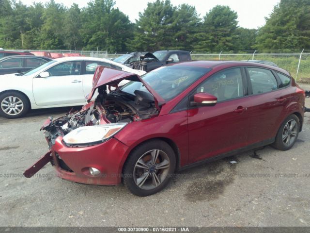 Photo 1 VIN: 1FADP3K24EL250706 - FORD FOCUS 