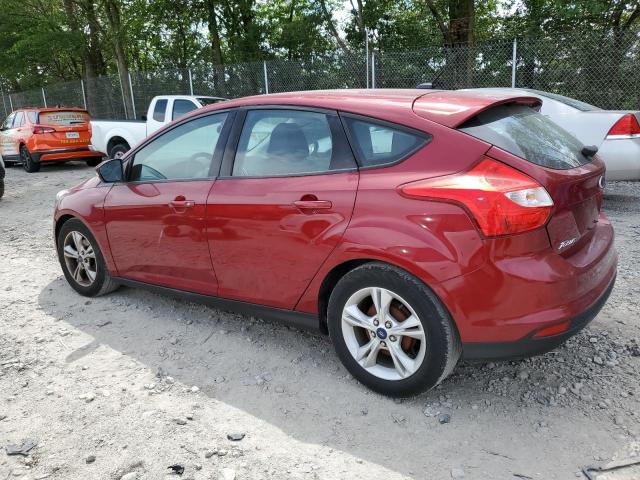 Photo 1 VIN: 1FADP3K24EL418683 - FORD FOCUS 