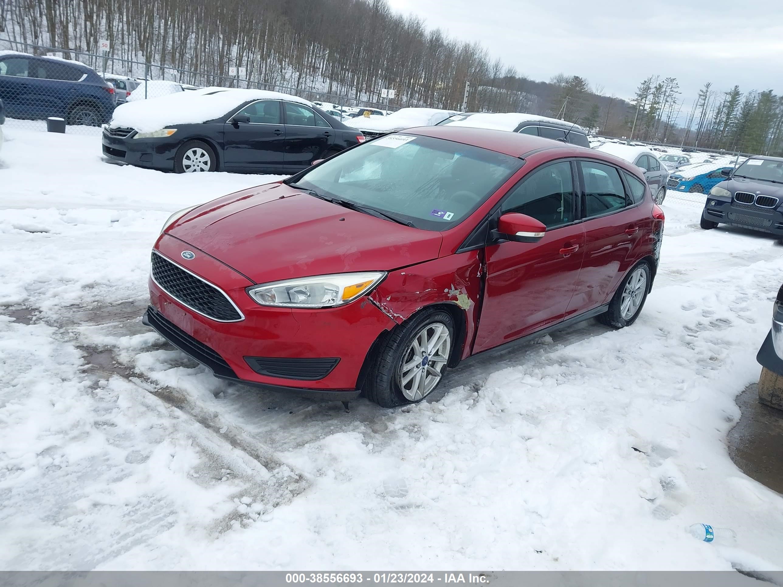 Photo 1 VIN: 1FADP3K24FL245099 - FORD FOCUS 