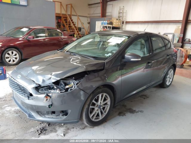 Photo 1 VIN: 1FADP3K24FL252411 - FORD FOCUS 