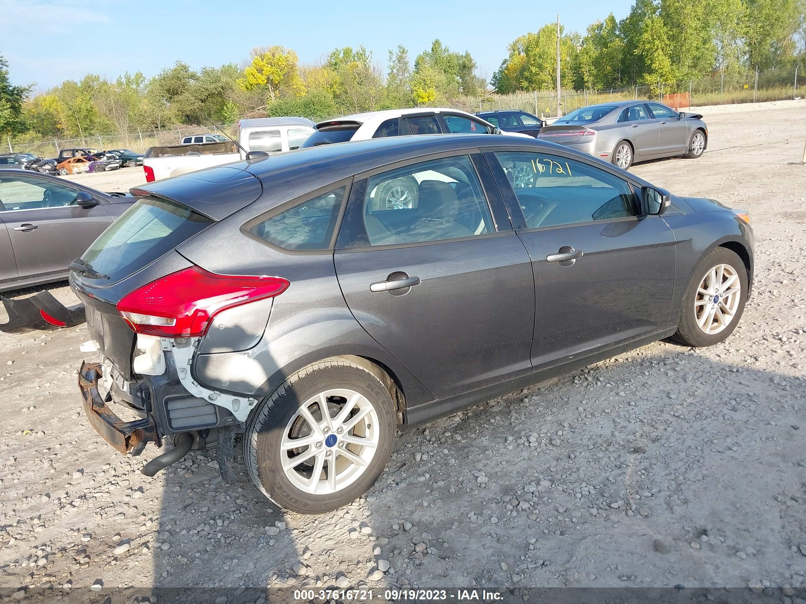 Photo 3 VIN: 1FADP3K24FL254417 - FORD FOCUS 