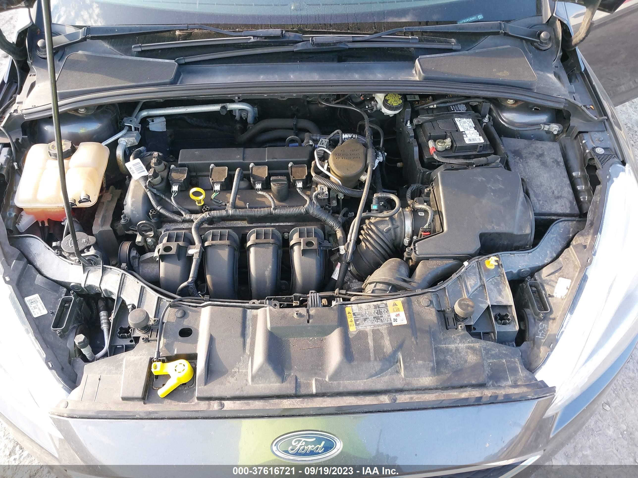 Photo 9 VIN: 1FADP3K24FL254417 - FORD FOCUS 