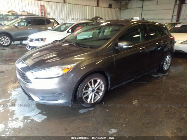 Photo 1 VIN: 1FADP3K24FL254739 - FORD FOCUS 