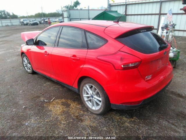 Photo 2 VIN: 1FADP3K24GL231446 - FORD FOCUS 