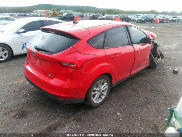 Photo 3 VIN: 1FADP3K24GL231446 - FORD FOCUS 