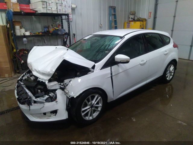 Photo 1 VIN: 1FADP3K24GL246187 - FORD FOCUS 