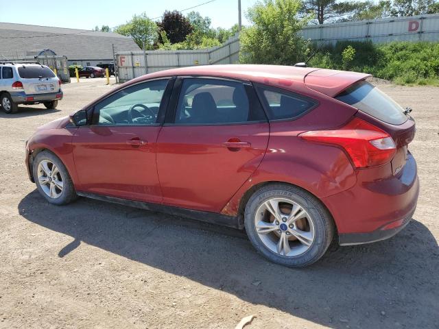 Photo 1 VIN: 1FADP3K25DL304996 - FORD FOCUS 