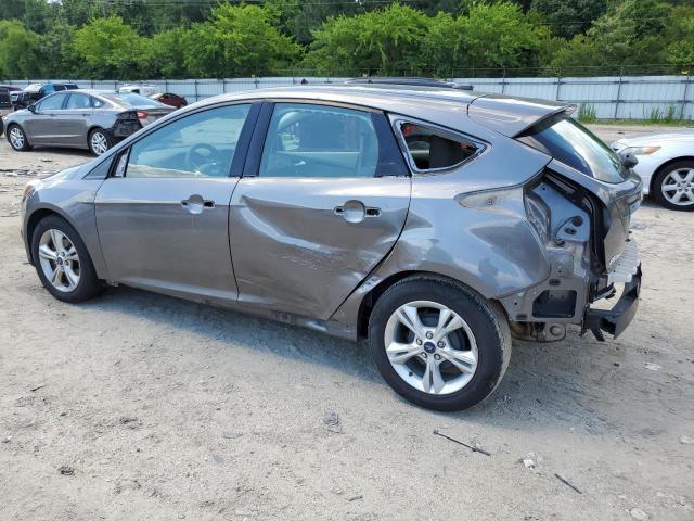 Photo 1 VIN: 1FADP3K25DL317800 - FORD FOCUS 